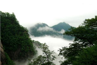 白云山多高 白云山南门在哪 白云山南门附近景点