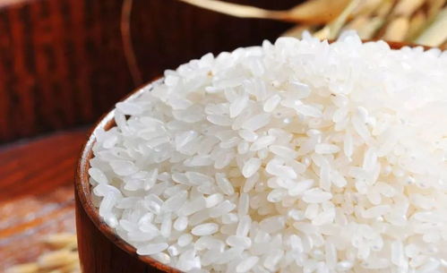 粳米是什么米？(粳米是什么米和大米有区别吗)