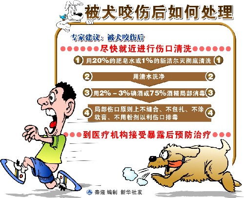 中国农村散养犬将逐步实施强制免疫政策 