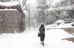 梦见下大雪