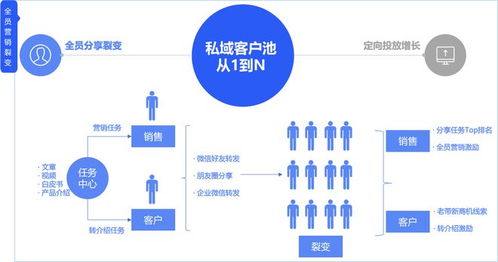 JN江南体育官方app下载|梦幻芭比人群指南及店铺营销策略(图5)