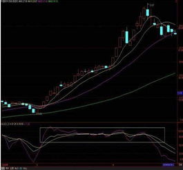 请问有什么指标可以验证是否真实突破呢