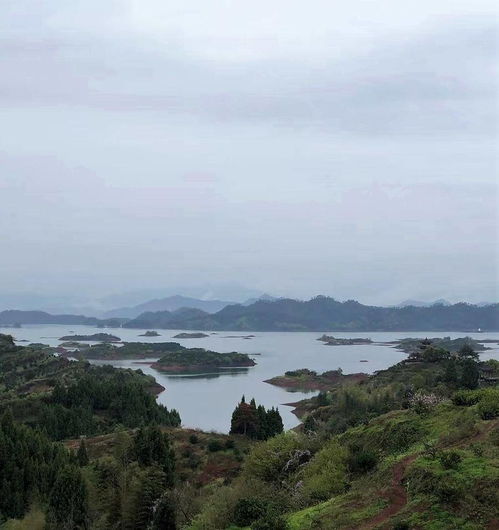 古城被淹没在千岛湖下,她常梦见父亲跟自己喊冷