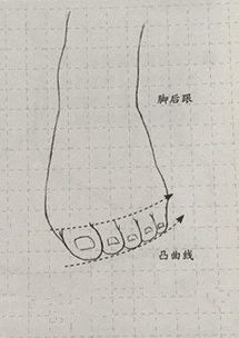 画脚的正面怎么画