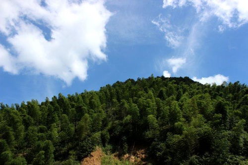 站在山区的屋顶上看风景