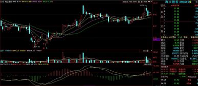 我每次买入股票时，最大可买数总是0，什么情况