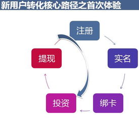 金融教育的“三驾马车”