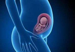 医生说 胎儿有这三种行为是智力高的表现,有的孕妈能庆祝了