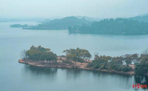 乘船 游湖 赏景 登高 成都东部新区春节一站式耍法来啦