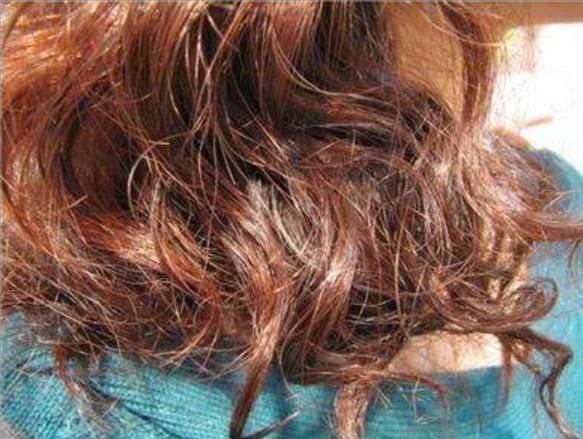 冬天染这些发色更显白 染发后加点它健康不伤发,头发越养越柔顺 