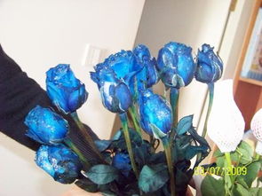 有天然的蓝色玫瑰吗,蓝色玫瑰花有哪些品种？
