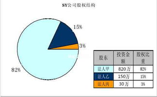 “公司所有权结构”是什么