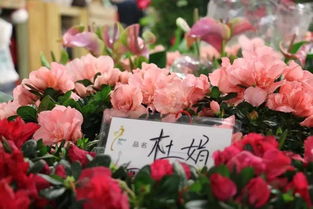 郑州女生最爱去的 采花 圣地 100块钱掰成几瓣花 