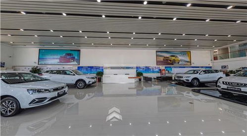 新疆汽车服务公司怎么起名 新疆汽车服务公司怎么起名