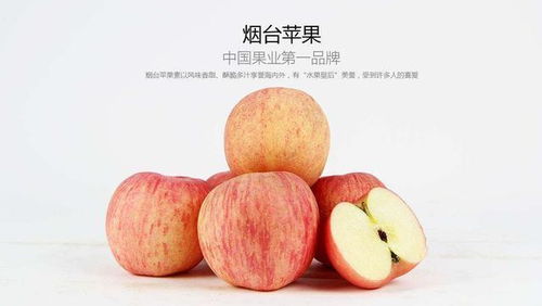 苹果原产地在哪里,云南苹果和陕西苹果哪个好