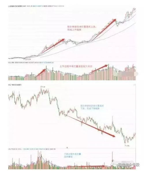 08月03日的雷尔伟主力资金大量撤出