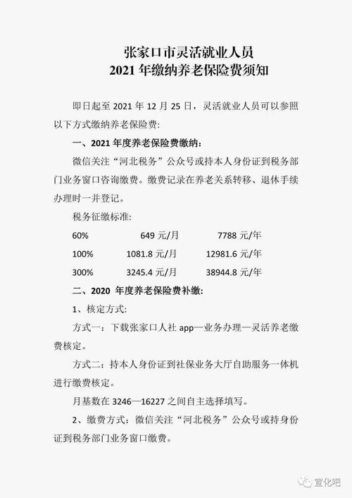 张家口灵活就业养老保险怎么查询灵活就业养老保险个人账户怎么查询