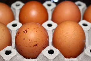 揭秘水煮鸡蛋粘壳之谜：原因分析与解决方法