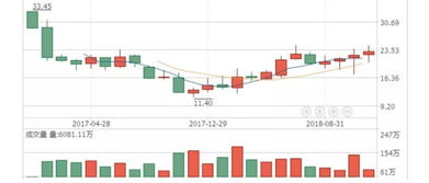 公司的股东可以采取怎样的措施来保证他们的利益?