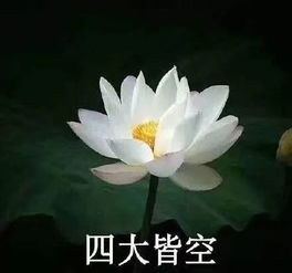 今日四六级 四世同堂,三花聚顶,汝可识得此阵