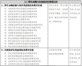 财务管理专业虚拟仿真实验教学研究