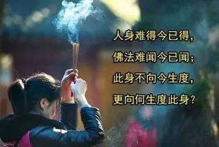 进入佛宝居,发心传播因果故事,我连做梦都是幸福的