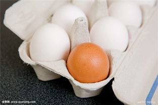 毛鸡蛋的营养价值功效,毛鸡蛋有什么营养？
