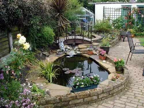 院子里做个水池真美