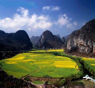 贵州安顺油菜湖