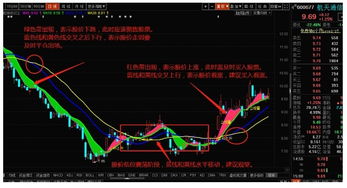 最近还能买什么股票吗？现在全身都绿了，看来是春天来了。