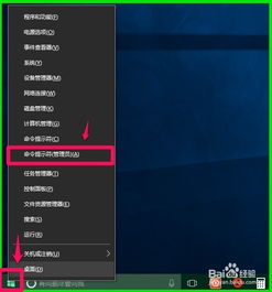 电脑win10反应很慢