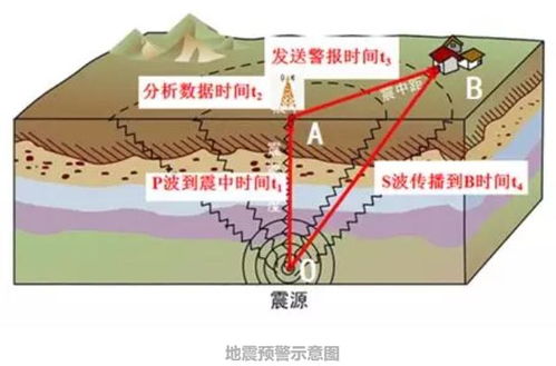 地震有什么规律(地震是怎样的)