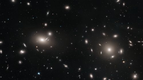 哈勃探索彗发星团的 1,000 多个星系
