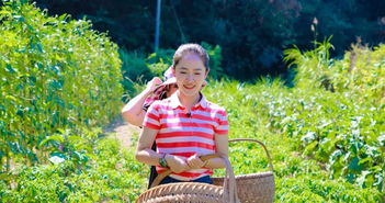 央视财经频道 生财有道 走进梦里老家,关注旅游扶贫 夜游经济