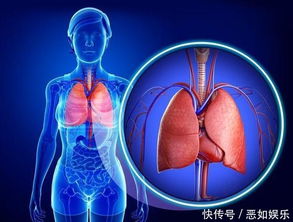 肺不好时,身体会有四个症状,养肺谨记 四个一点 