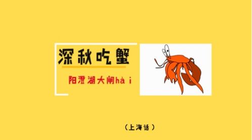 方言妙不可言 听听讯飞输入法 方言保护计划 的南腔北调