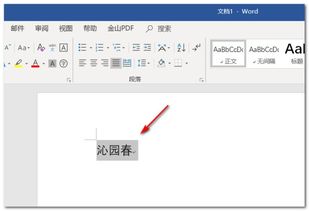 word标题文字添加双波浪线方框 