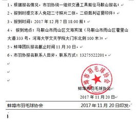 羽毛球一级裁判可以买吗,羽毛球裁判员资格怎么获得