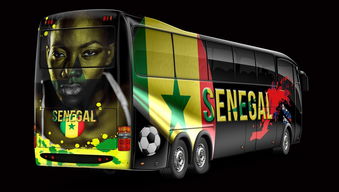 塞内加尔足球2022年世界杯