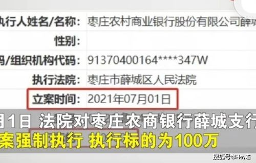 怎么样能把1万元变成100万 有多多长的时间！有多大的风险！