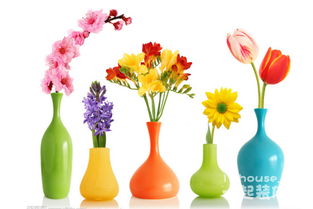 花瓶如何搭配 花瓶清洁保养