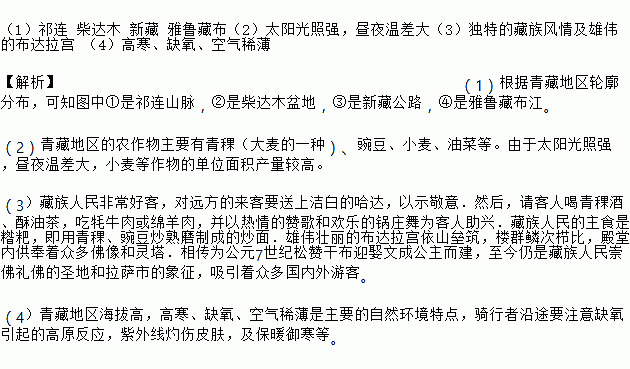 大麦去了皮白人造句-麦组词2个字？