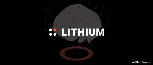 专访 Lithium Finance 联合创始人：依托集体智慧定价预言机