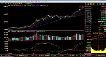 股票的今开、最高、最低和昨收分别是什么东西？