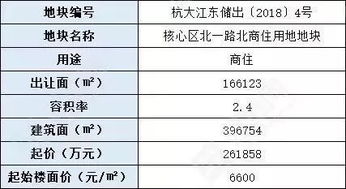 竞价366轮,耗9小时,溢价32 如何理性看待大江东2019第一拍