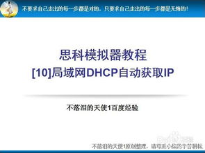 关于思科局域网自动获取IP(dhcp独立服务器吗)