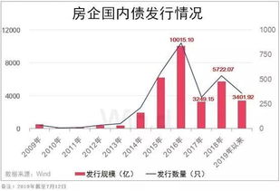 转债发债是什么意思