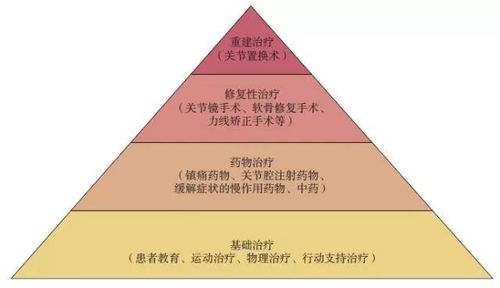 什么是T日？数米基金网告诉我说货币需要T+1确认这句话是什么意思？