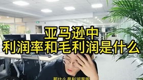 毛利润是什么意思