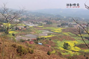 四川宜宾南溪大坪乡